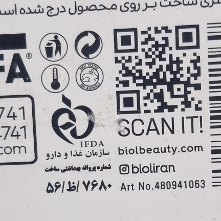بالم لب گلدن رز