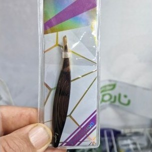 مو چین لوپینا