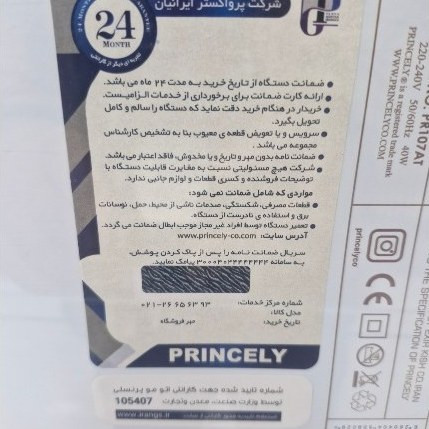 اتو مو پرسنلی مدل PR107AT با دو سال گارانتی